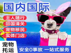 泸州云龙航空物流国际宠物托运 【国